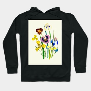 Members of the Iris Family Hoodie